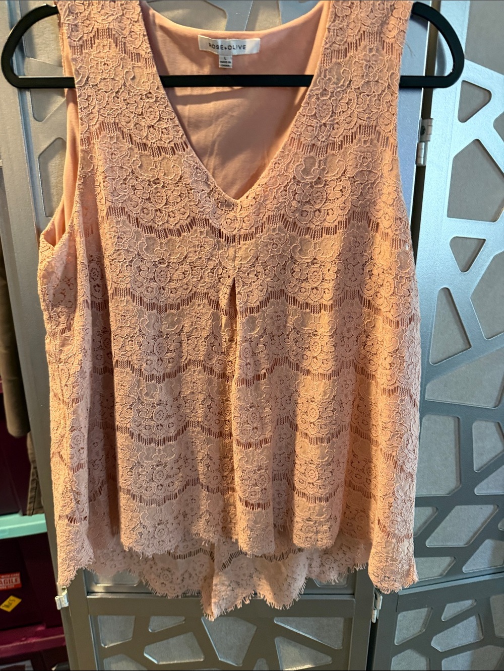 Rose & Olive Blush Lace V-Neck Chemise